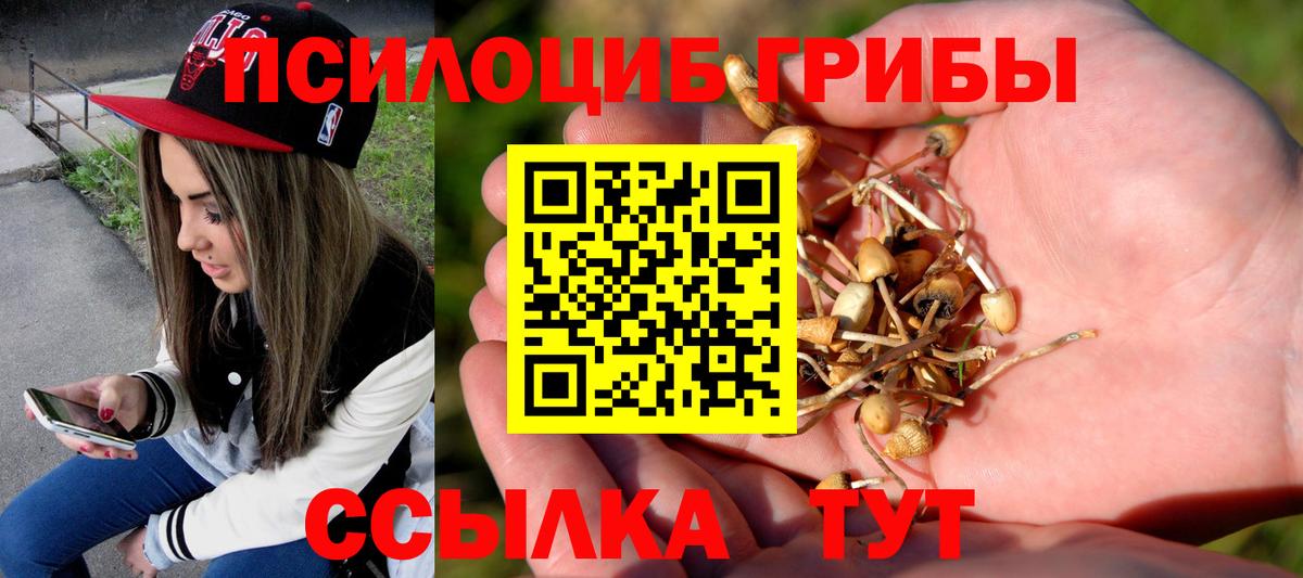 Галлюциногенные грибы ЛСД  Псилоцибиновые грибы прущие грибы  Вход с VPN  Кызыл 